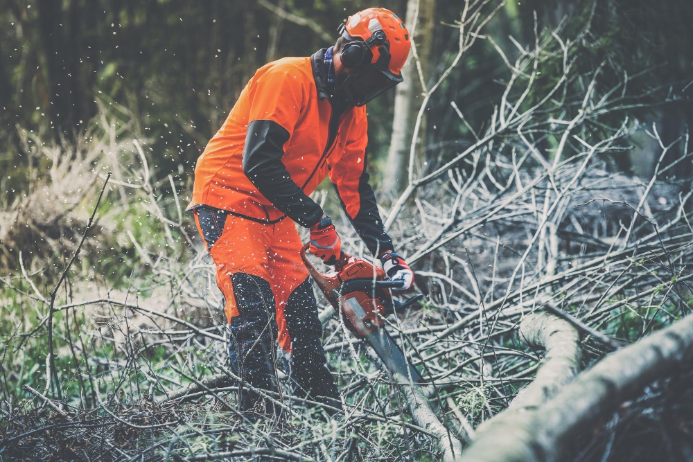 Medewerker Groenvoorziening