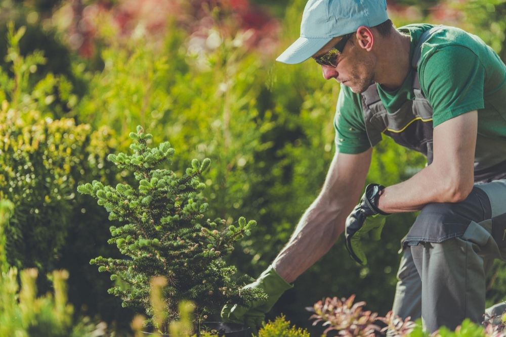 Meewerkend voorman groen