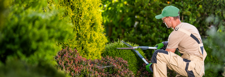 Voorman Groenvoorziening