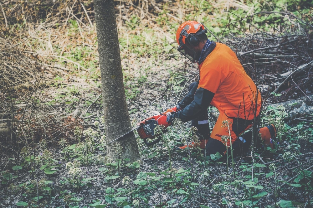 Voorman Groenvoorziening